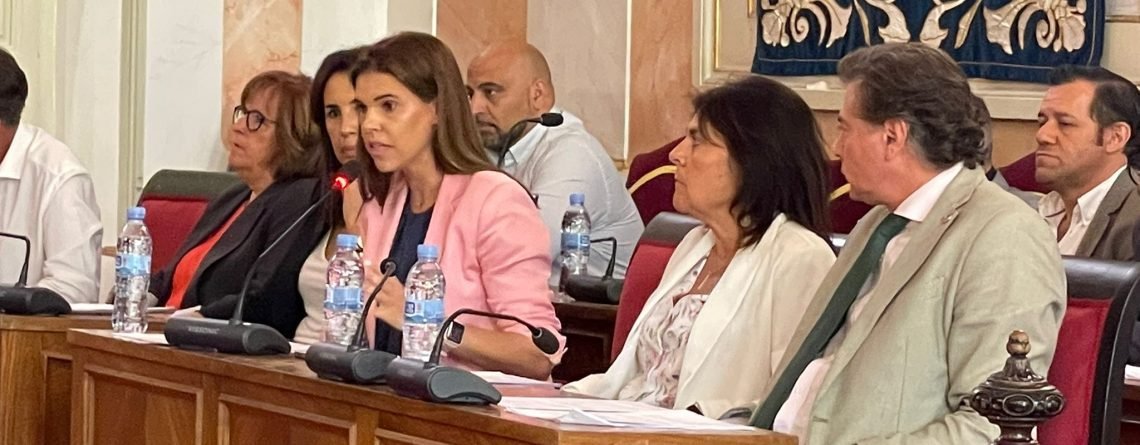 Judith Piquet en el Pleno del Ayuntamiento de Alcalá