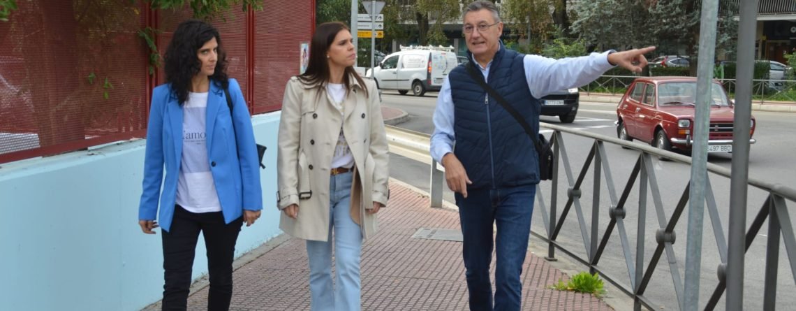 El PP de Alcalá reclama más limpieza y el arreglo de las aceras en Iviasa