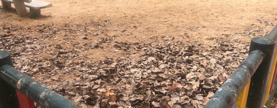 Propuesta de mejora en la Plaza Juan XXIII